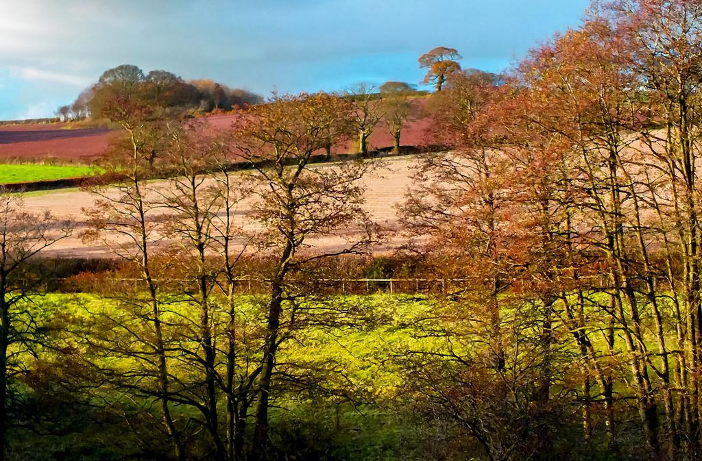 Cul Mor B&B Eccleshall Eksteriør bilde